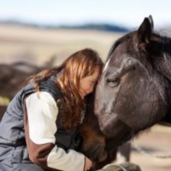 WHY HORSES CAN BE SO THERAPEUTIC IN WORK WITH TRAUMATIZED CHILDREN AND YOUNG PEOPLE – PART 1 (2014) & PART 2 (205) – DEBBIE WOOLFE